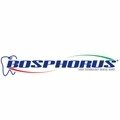 Bosphorus Dental Burs