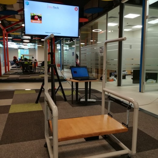 Balance Stabilizer Therapy System