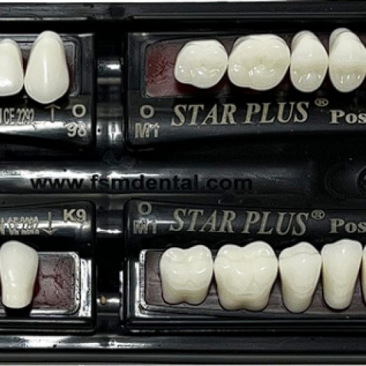 FSM DENTAL STARPLUS IPN Acrylic Teeth