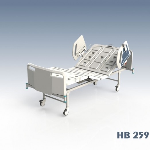 HB259 Home Care 2+1 Adjustments, Electrically Controlled Beds