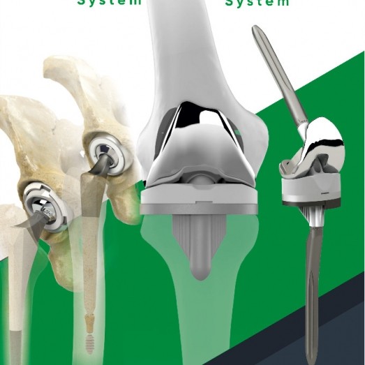 Total Hip Prosthesis
