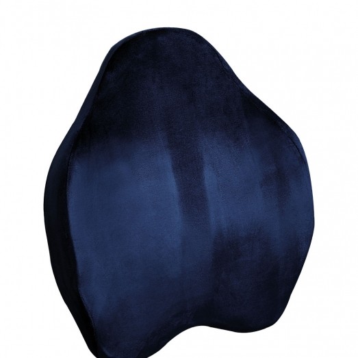 REF 678 Polyurethane Anatomick Back Cushion (With Belt)